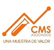 CMS Asociados